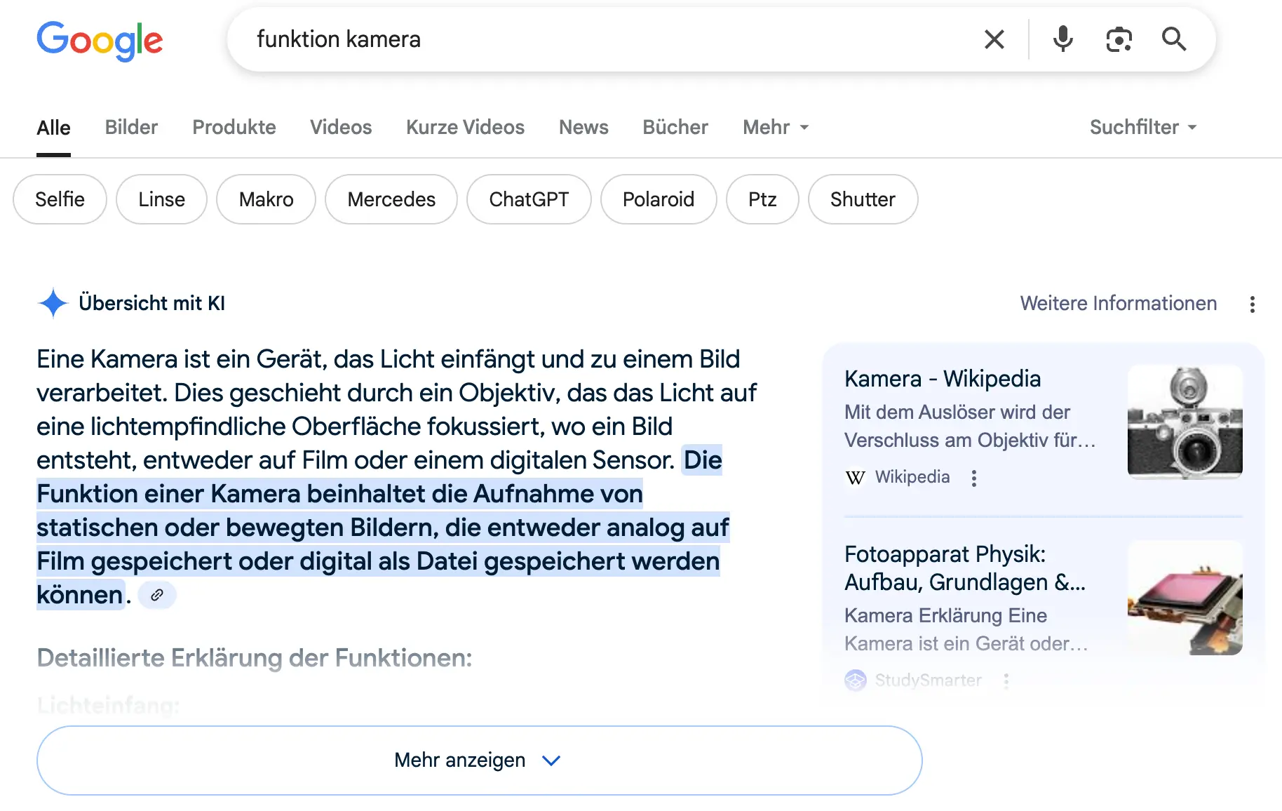 Google KI Übersicht technische Suchanfrage Google KI Übersicht technische Suchanfrage