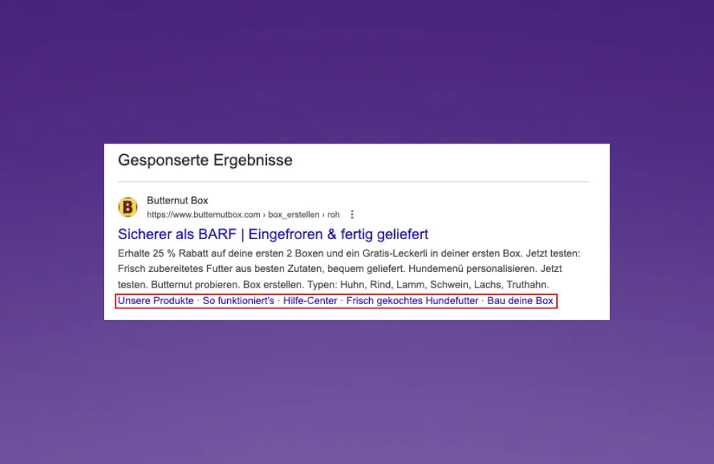 Anzeigenerweiterungen Google Ads erklärt