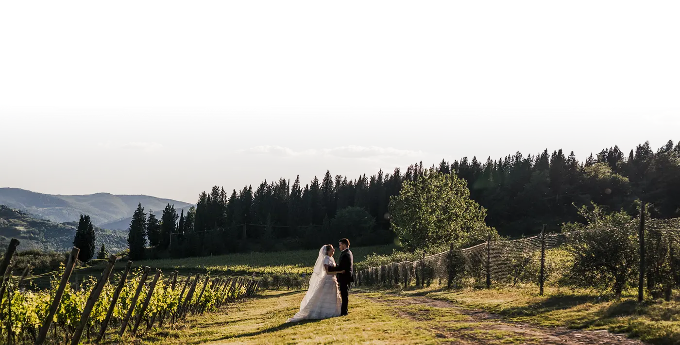 Header-Image 3