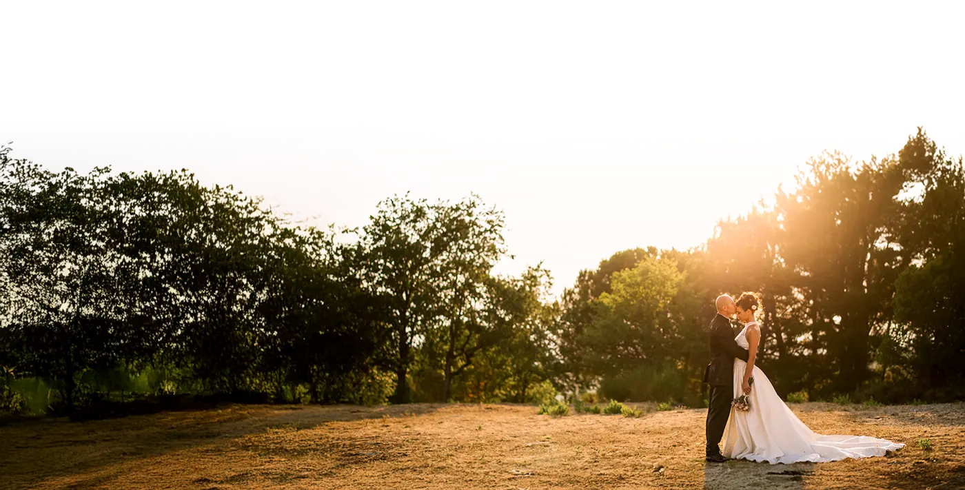 Header-Image 1