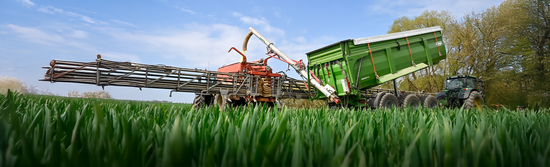 Bildbeschreibungstext