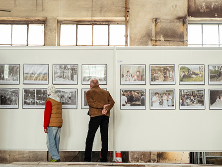 Bildbeschreibungstext