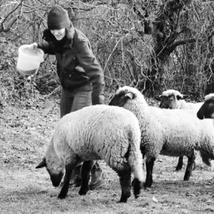 Bildbeschreibungstext